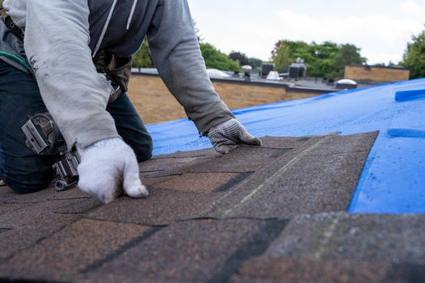 Best Roof Gutter Cleaning  in Farmersville, CA